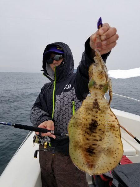 ソルトウォーターガイドフレンズ 釣果