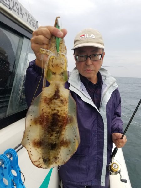 ソルトウォーターガイドフレンズ 釣果