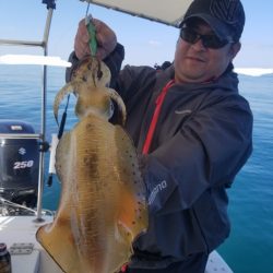 ソルトウォーターガイドフレンズ 釣果