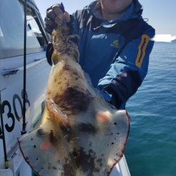 ソルトウォーターガイドフレンズ 釣果