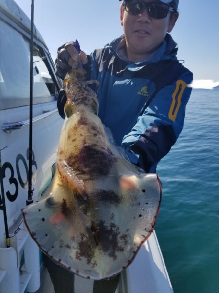 ソルトウォーターガイドフレンズ 釣果