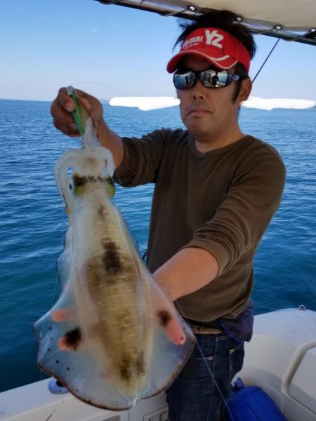 ソルトウォーターガイドフレンズ 釣果