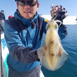 ソルトウォーターガイドフレンズ 釣果