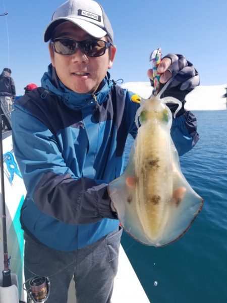 ソルトウォーターガイドフレンズ 釣果