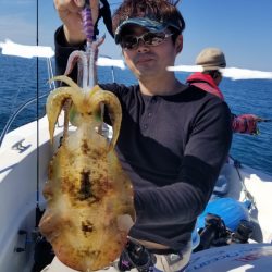 ソルトウォーターガイドフレンズ 釣果