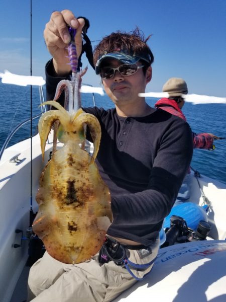 ソルトウォーターガイドフレンズ 釣果