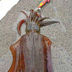 ブルースフィッシングサービス 釣果