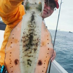 ブルースフィッシングサービス 釣果