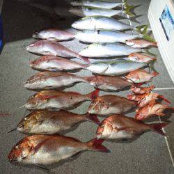 ARCADIAⅡ (アルカディアⅡ) 釣果