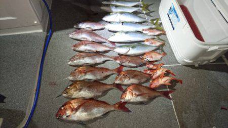 ARCADIAⅡ (アルカディアⅡ) 釣果