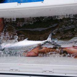 海龍丸（石川） 釣果