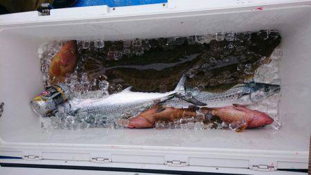 海龍丸（石川） 釣果