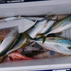 海龍丸（石川） 釣果