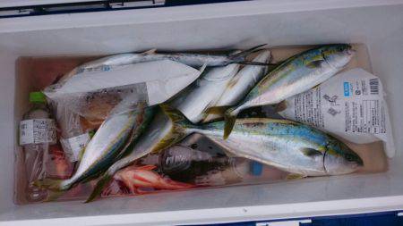 海龍丸（石川） 釣果