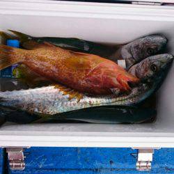 海龍丸（石川） 釣果