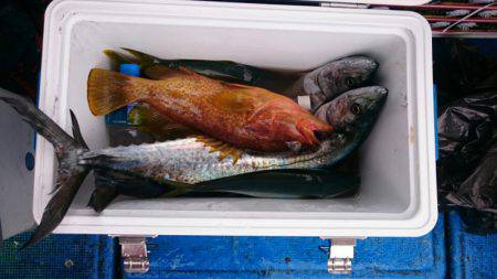 海龍丸（石川） 釣果