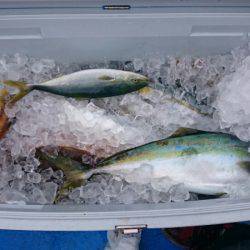 海龍丸（石川） 釣果