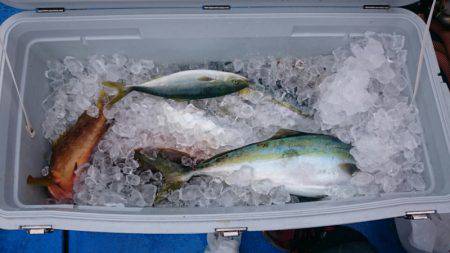 海龍丸（石川） 釣果