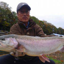 つりぼりあかし 釣果