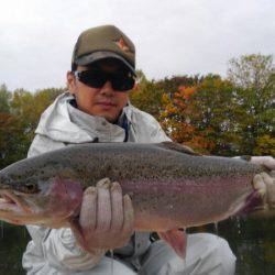 つりぼりあかし 釣果