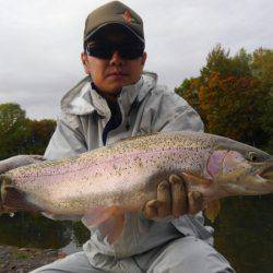 つりぼりあかし 釣果