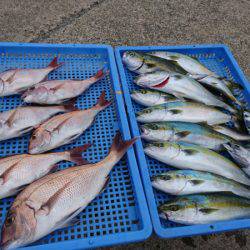 第三共栄丸 釣果