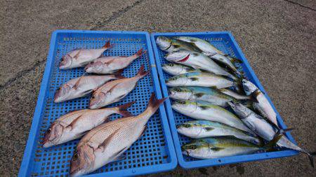 第三共栄丸 釣果