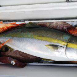 第二龍勢丸 釣果