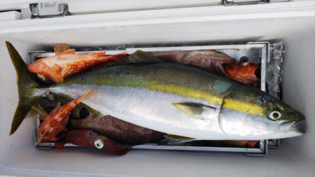 第二龍勢丸 釣果