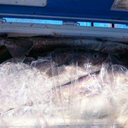 海龍丸（石川） 釣果