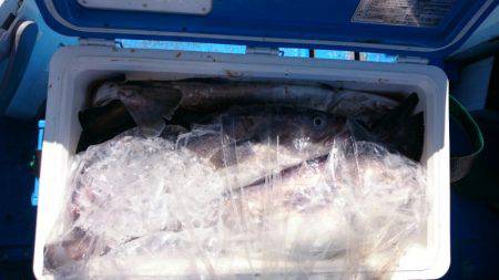 海龍丸（石川） 釣果