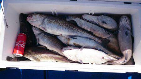 海龍丸（石川） 釣果