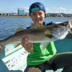 アマテラス 釣果