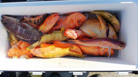 第二龍勢丸 釣果