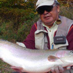 つりぼりあかし 釣果