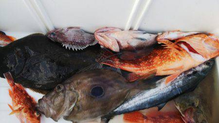 第二龍勢丸 釣果