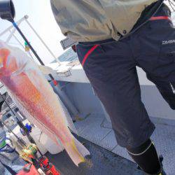 第二龍勢丸 釣果