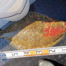 第二龍勢丸 釣果