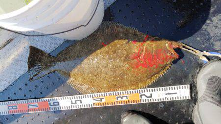 第二龍勢丸 釣果