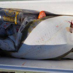 第二龍勢丸 釣果