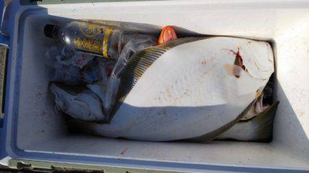 第二龍勢丸 釣果