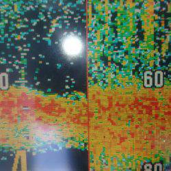 サンマリン 釣果