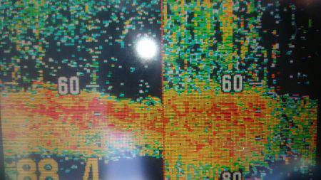 サンマリン 釣果