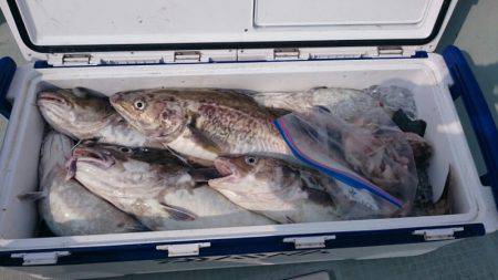 海龍丸（石川） 釣果