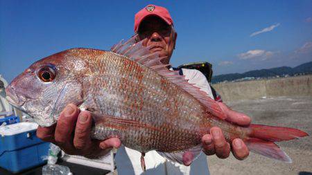 第三共栄丸 釣果