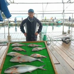 海の釣堀 海恵 釣果