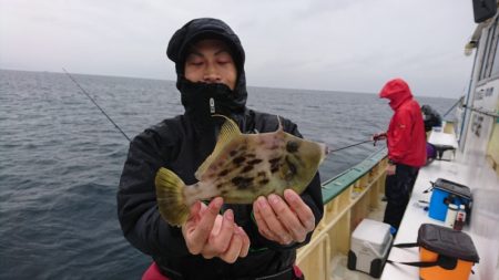 島きち丸 釣果