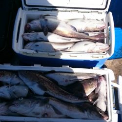 海龍丸（石川） 釣果