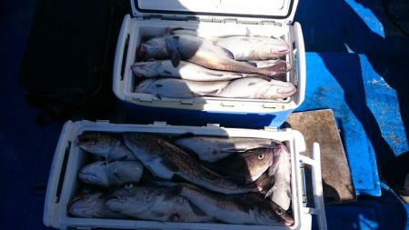 海龍丸（石川） 釣果