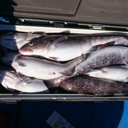 海龍丸（石川） 釣果